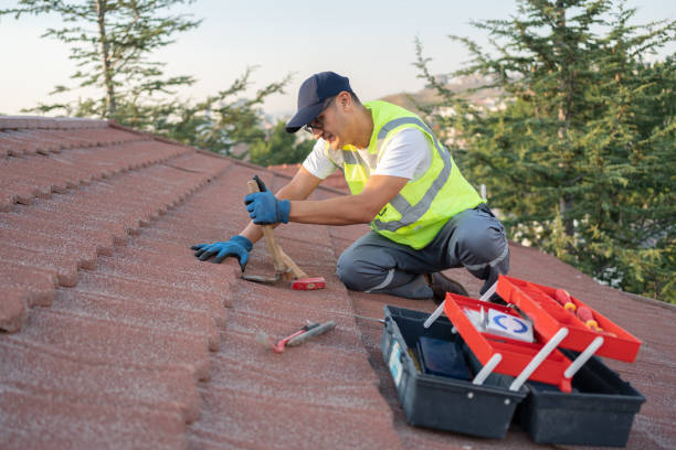 Best Roof Leak Repair  in Stanleytown, VA