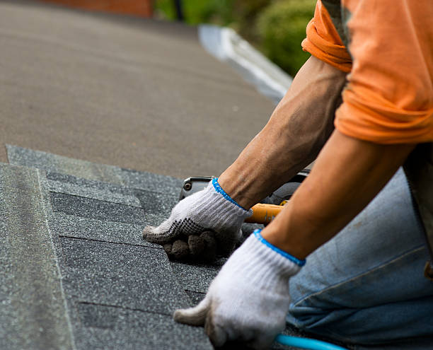 Roof Gutter Cleaning in Stanleytown, VA